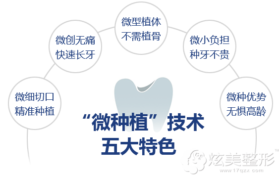 ���ڸ��A��������΢�Nֲ���g(sh��)