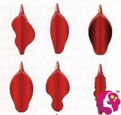 ꎴ��ɳ��´�߀�����Q������������ꎴ����κ����ܸ���