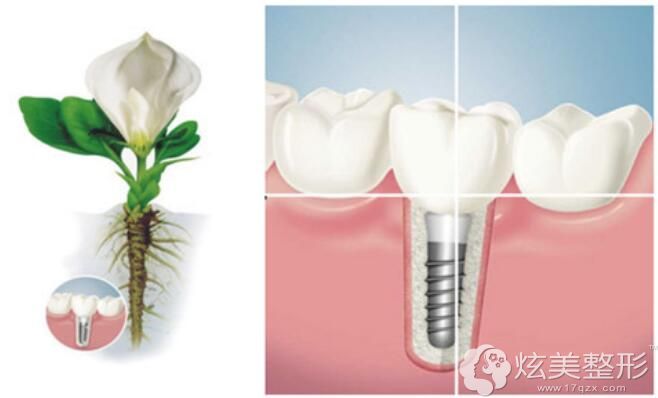 ���t(y��)�����h�H�ٷN�������䌍(sh��)�����F�Nֲ����ě]ȱ�c(di��n)��