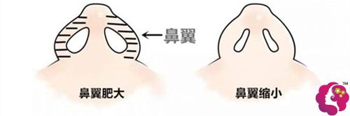 �����sС�����׃�ø���������?y��n)�̺������?>
							</div>
							<div   id=